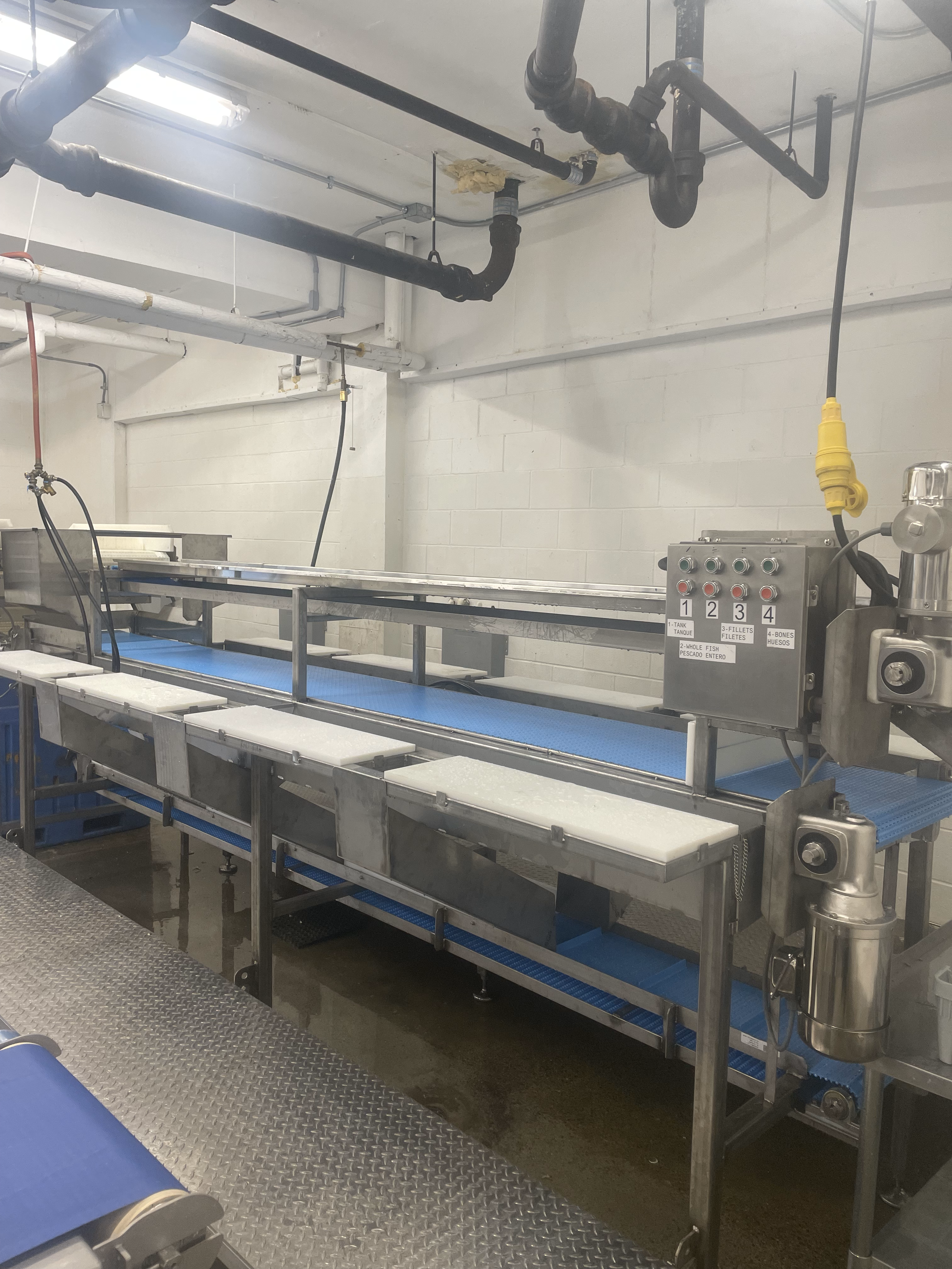 Completed Fish Processing Conveyor System On-Site at Red's Best
